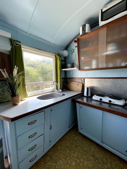 オーデンセFjordhytten. Rebuild Train Wagon From 1937.アパートメント エクステリア 写真